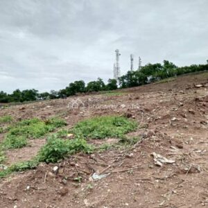 Commercial Land
